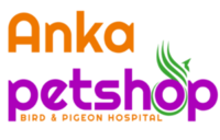 ankapetshop